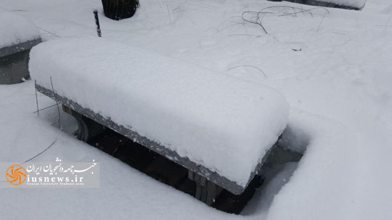 تصاویری دیدنی از بارش برف در دانشگاه شریف